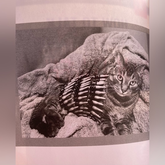 NEW How To Talk To Your Cat About Gun Safety Book - Picture 9 of 11